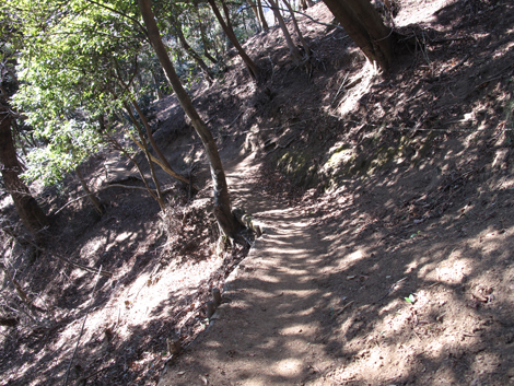 20170126hike (384)
